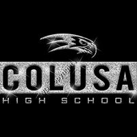 GLT55 SILVER GLITTER Thumbnail