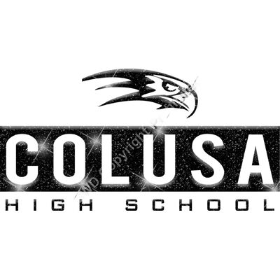 GLT55 BLACK GLITTER Thumbnail